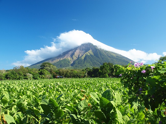 Dónde alojarse en Ometepe: mejores zonas